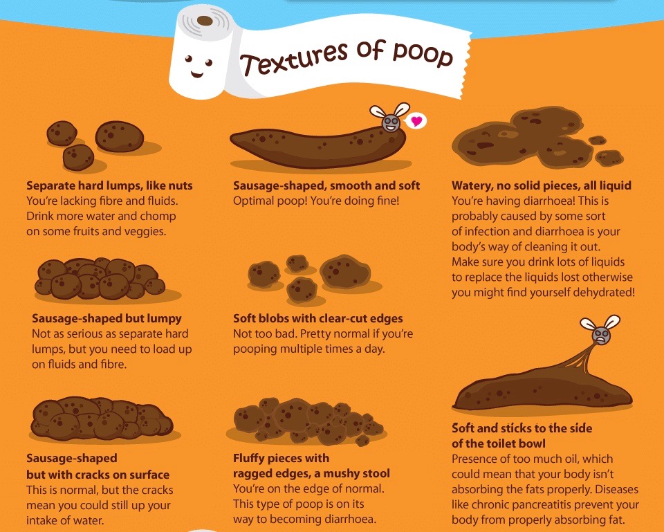 What Your Poop Color Says About Your Health Images and Photos finder